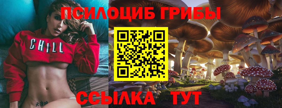 Галлюциногенные грибы Cubensis  Вход с VPN  Шелехов  Псилоцибиновые грибы Cubensis 